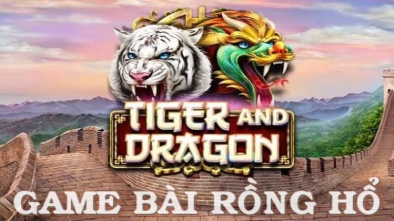 Những kinh nghiệm chia sẻ trong Rồng Hổ Club